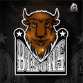 Buffalo head with horns. Logo for any sport team bisons