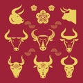 Buffalo head logo. Set of bulls logos.