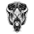 The Buffalo head