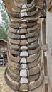 Buffalo horns that are dried and used as wall decorations in the houses of the Toraja tribe, South Sulawesi, Indonesia