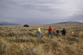 Buffalo hunters - photographers and bison Royalty Free Stock Photo