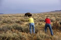 Buffalo hunters Royalty Free Stock Photo