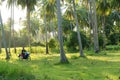 A buffalo with large horns grazes on the lawn in a green tropical jungle