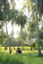 A buffalo with large horns grazes on the lawn in a green tropical jungle