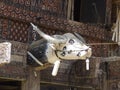 Buffalo lightning Tongkonan in Tana Toraja