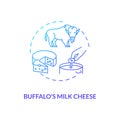 Buffalo milk cheese blue gradient concept icon