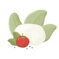 Buffalo milk Italian cheese mozzarella with black pepper, tomato, green basil. Hand drawn cartoon illustration. Isolated vector