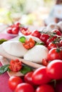 Buffalo mozzarella basil and tomatoes Royalty Free Stock Photo