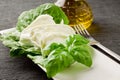 Buffalo Mozzarella with lettuce and basil Royalty Free Stock Photo