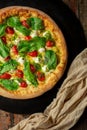 Buffalo Mozzarella Pizza. Neapolitan pizza