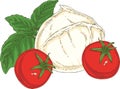 White Buffalo Mozzarella, Tomatoes and Green Basil