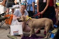 Kneeling woman petting adoptable dog