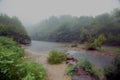 Buffalo River, Arkansas, looking downriver on a foggy day. Royalty Free Stock Photo