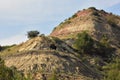 Buffalo Roaming in the Badlands of North Dakota