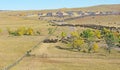 Buffalo Roundup in Custer State Park, South Dakota. Royalty Free Stock Photo