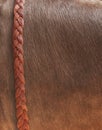 Buffalo skin background with leather braid Royalty Free Stock Photo
