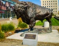 Buffalo Statue in Downtown Denver Colorado