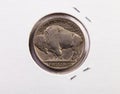 Buffalo Tail Of Old United States Nickle Coin
