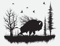 Buffalo walking in the forest