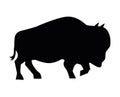 buffalo wild animal silhouette