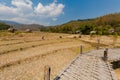 Buffalos close Buddha bamboo bridge