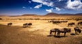 Buffalos in the Serengeti Royalty Free Stock Photo