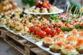 Buffet assortment of canapes. Delicious appetizers, catering food