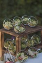 Buffet catering salad in a glass plate on a wooden stand Royalty Free Stock Photo