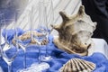 Maritime buffet decoration with huge shell and glasses