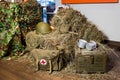 Buffet in the form of military field cuisine: hay, military helmets, first-aid kit, camouflage