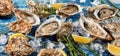 Buffet of fresh shucked oysters on ice