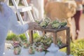 Buffet line salad in glass plate on a wooden stand Royalty Free Stock Photo