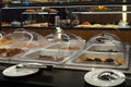 Buffet self-service, catering business, trays of food