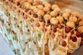 Buffet table with snacks, canape and appetizers at luxury wedding reception, copy space. Serving food at event. Catering banquet Royalty Free Stock Photo