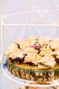Buffet table with snacks at rustic wedding reception. Serving food at event. Catering banquet table Royalty Free Stock Photo