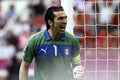 Buffon Royalty Free Stock Photo