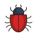 bug alert isolated icon Royalty Free Stock Photo