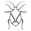 Bug Bedbug Chinch True bugs Hemipterans Insect pest icon black color outline vector illustration flat style image