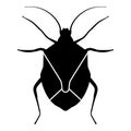 Bug Bedbug Chinch True bugs Hemipterans Insect pest icon black color vector illustration flat style image