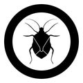 Bug Bedbug Chinch True bugs Hemipterans Insect pest icon in circle round black color vector illustration flat style image Royalty Free Stock Photo