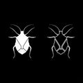 Bug Bedbug Chinch True bugs Hemipterans Insect pest icon set white color vector illustration flat style image Royalty Free Stock Photo