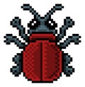 Bug Beetle Insect Pixel Art Video Game 8 Bit Icon
