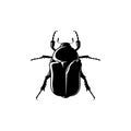 Bug black on white background vector illustration