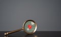 Bug in the code in the magnifying glass. Debugging, testing and code review. Royalty Free Stock Photo