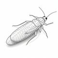 Architectural Illustration Of A Monochromatic Cockroach On White Background Royalty Free Stock Photo