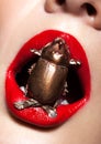 Bug in female lips Royalty Free Stock Photo