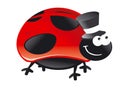 Bug Hat Red Polka Dots Black Smile Happy Fly