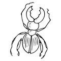 Bug icon. Vector illustration of a cartoon stag beetle. Hand drawn