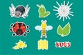 Bug or insect set. Spider, caterpillar or worm, ladybird, bee or wasp, leaves, flowers, honeycomb, dotted letters. Cute