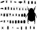 Bug insect silhouettes Royalty Free Stock Photo